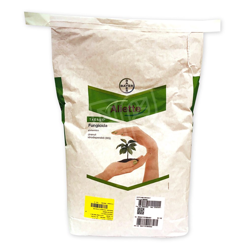 ALIETTE BAYER - KG 6